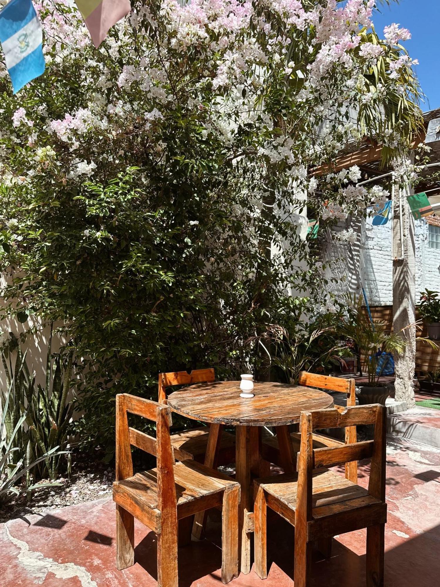 Guest house Sunset - Centro - La Paz